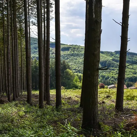 Maisons De Vacance - Auvergne 1 Prázdninový dům *
